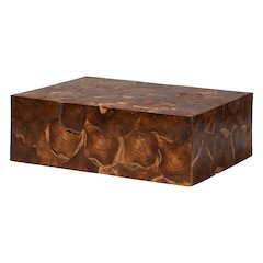 Eldora Teak Wood Coffee Table