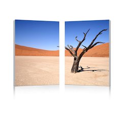 Desert Solitude Mounted Photography Print Diptych Multi