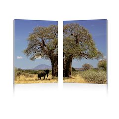 Tree of Life Mounted Photography Print Diptych Multi