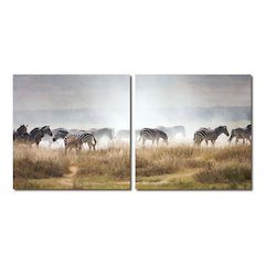 A Zeal of Zebras Mounted Photography Print Diptych Multi