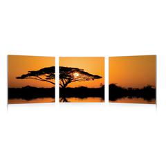 Savannah Sunset Mounted Photography Print Triptych Multi