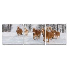 Horse Herd Mounted Photography Print Triptych Multi
