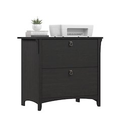 Salinas 2 Drawer Lateral File Cabinet