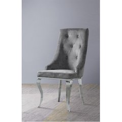 Dekel Side Chair (Set-2) Gray Fabric & Stainless Steel