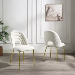 Fadri Side Chair (Set-2) Teddy Sherpa & Mirrored Gold
