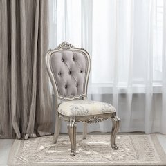Ariadne Side Chair (Set-2) Velvet & Antique Plantinum