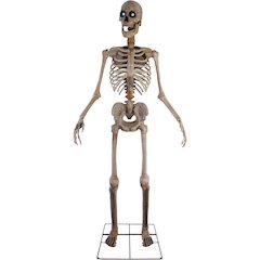 8' Towering Animated Skeleton