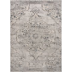 Ariella 8 x 10 ft indoor rug
