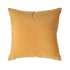 Jonquil 20X20 Indoor Pillow, Mango