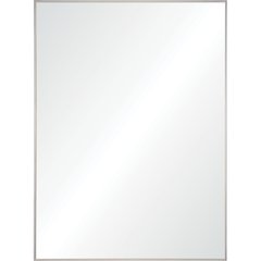 Carmelle 30 in. x 40 in. Rectangular Framed Mirror