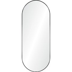 Ammar 24 x 60 Pill Ractangular Framed Mirror