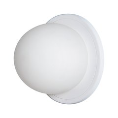 Raquel 1 Light Wall Sconces