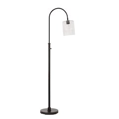 Danae 62.5" Height Floor Lamp, Black