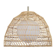 Palm 1 Light Ceiling Fixture