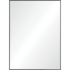 Raizel 30 in. x 40 in. Rectangular Framed Mirror