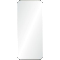 Delphinus 20 in. x 46 in. Rectangular Framed Mirror