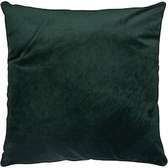 Olive 20 X 20 Indoor Pillow, Hunter Green