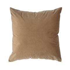 Alchemilla 20X20 Indoor Pillow, Camel