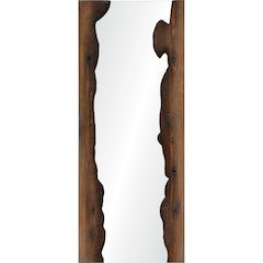 Connix 20 in. x 50 in. Rectangular Framed Mirror