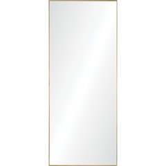 Crosland  30 in. x 72 in. Rectangular Framed Mirror