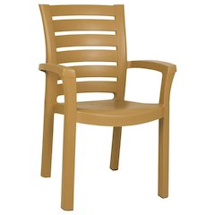 Marina Resin Dining Arm Chair, Set of 2, Teak Brown, Belen Kox