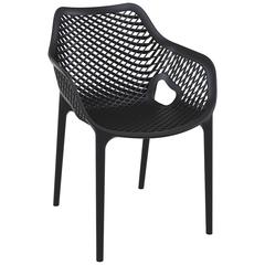 Outdoor Dining Arm Chair, Set of 2, Black, Belen Kox