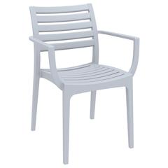 Artemis Outdoor Dining Arm Chair Silver Gray, Set of 2