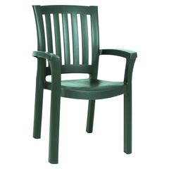Resin Dining Arm Chair, Set of 2, Green, Belen Kox