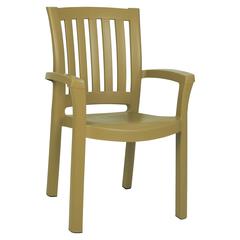 Sunshine Resin Dining Arm Chair Teak Brown, Set of 2