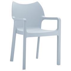 Resin Outdoor Dining Arm Chair, Set of 2, Silver, Belen Kox