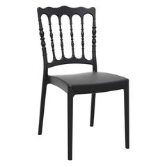 Dining Chair, Set of 2, Black, Belen Kox