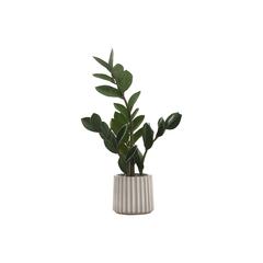 Artificial Plant, 20 Tall, Zz, Indoor, Faux, Fake, Table, Greenery, Potted