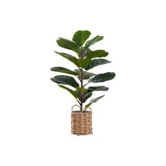 Artificial Plant, 28 Tall, Fiddle Tree, Indoor, Faux, Fake, Floor, Greenery