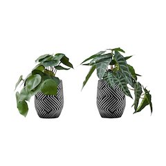 Artificial Plant, 8" Tall, Alocasia, Indoor, Faux, Table, Greenery, Set Of 2
