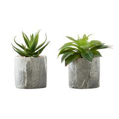Artificial Plant, 6 Tall, Succulent, Indoor, Faux, Fake, Table, Greenery