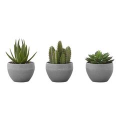 Artificial Plant, 6 Tall, Succulent, Indoor, Faux, Fake, Table, Greenery