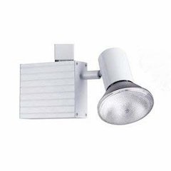 Metal Halide,120V,35W,Par Bulb