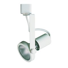 Line Voltage Fixture, Par 20, HT240WH