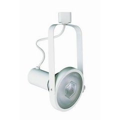 LINE VOLTAGE FIXTURE,PAR 30, 2 WIRE