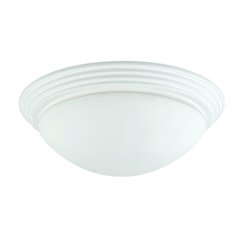 60W Ceiling Lamp