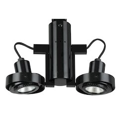 12V, MR-16, 2 Lights 50W Max Ea Tra