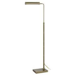 Delray 17W, 3000K Non Dimmable Integrated Led Metal Floor Lamp