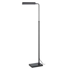Delray 17W, 3000K Non Dimmable Integrated Led Metal Floor Lamp