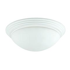 60W X 2 Ceiling Lamp