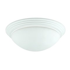 60W X 2 Ceiling Lamp