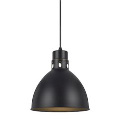 150W Webster Metal Pendant