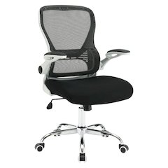 Mesh Back Manager’s Chair