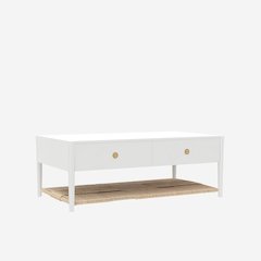 Coffee Table with Modern Design and Open Shelf Storage