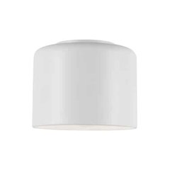 1LT Incand Flush Mount,  MW Shade