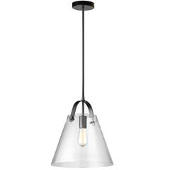 1LT Incandescent Pendant, Black, Clear Glass